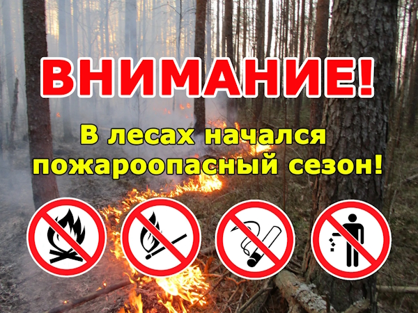 Для афанасьевских лесов объявлено пожароопасное время